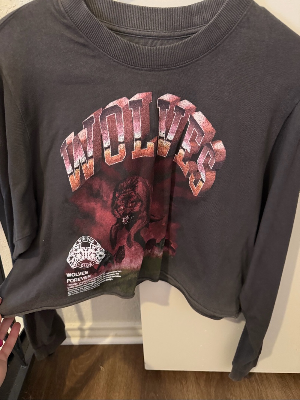 Darc Sport Wolves Graphic Cropped Sweatshirt in Charcoal with Red Print